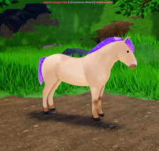 AMETHYST Gulblakk Rare Coat Fjord IUH Island Unique Hair Wild Horse Islands WHI