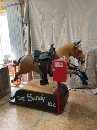 Sandy the horse - sandy,