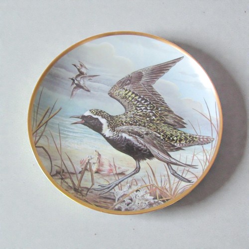 Franklin porcelain assiette - franklin,