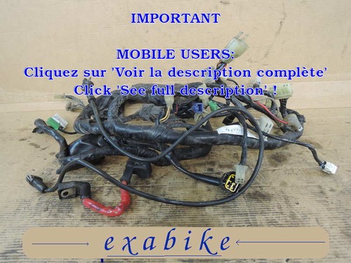 Faisceau electrique pour - electrique,