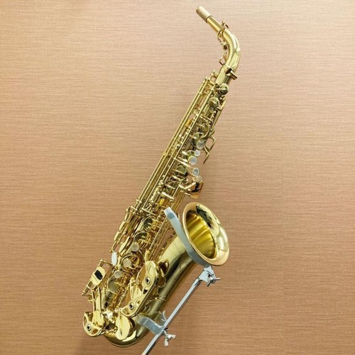 Saxophone alto yanagisawa - alto,