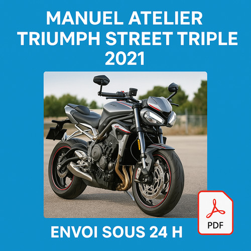 Manuel atelier triumph - manuel, street