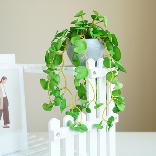 Plantes artificielles - plantes,
