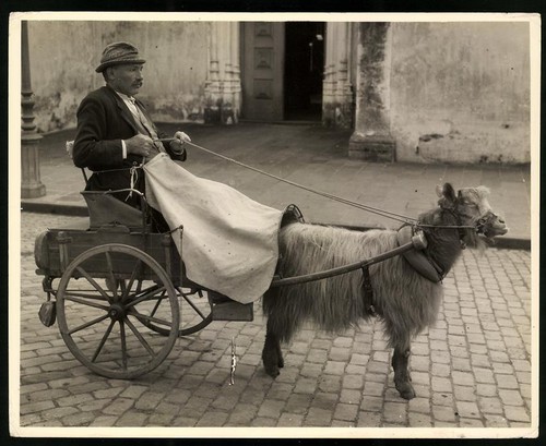 Photographie habitants des
