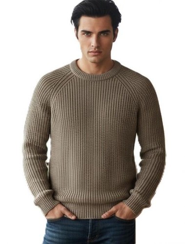 Pull homme col - rond, 100