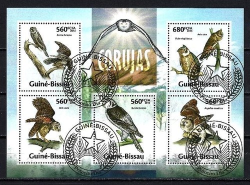 Animaux oiseaux hiboux - oiseaux,
