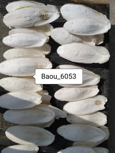 Seiche kg calcium - os, kg,