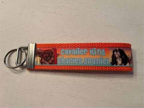 Cavalier king charles spaniel - cavalier,