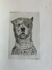 LA LEVRETTE EN PAL'TOT -