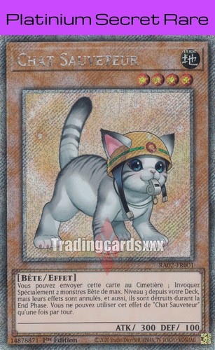 Chat sauveteur v 2 - chat,