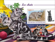 Cats British Shorthair American MNH Stamps 2022 Central African Republic S/S