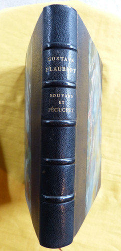 Flaubert bouvard et - -,