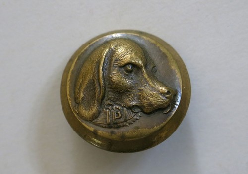 Chien très beau - très,
