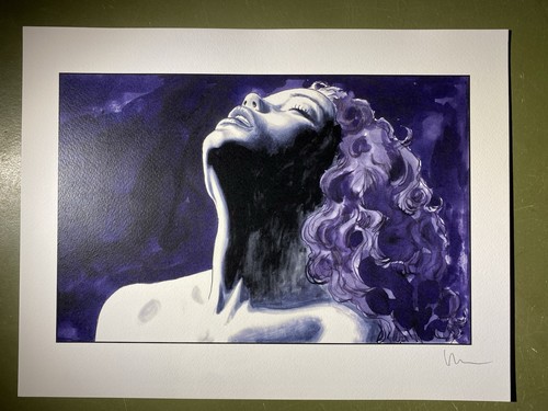 Illustration libris grand - illustration,