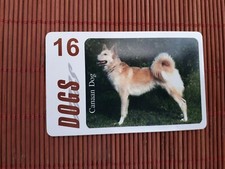 Phonecard Russie Dogs numéro 16 (comme neuve, neuve) seulement 1000 faite 2 scans rare