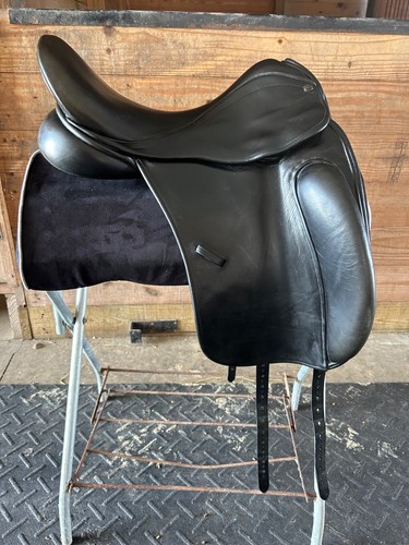 Dressage county perfection - dressage,