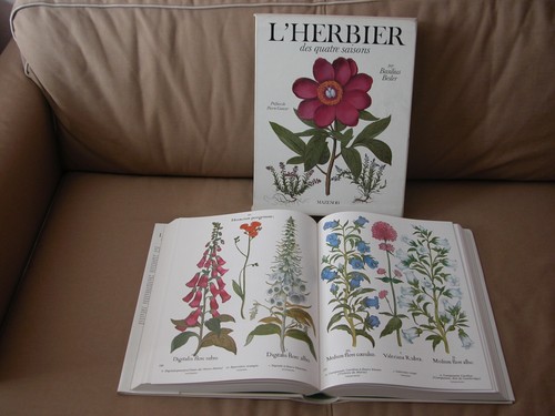 Livre art l herbier des - livre, d'art