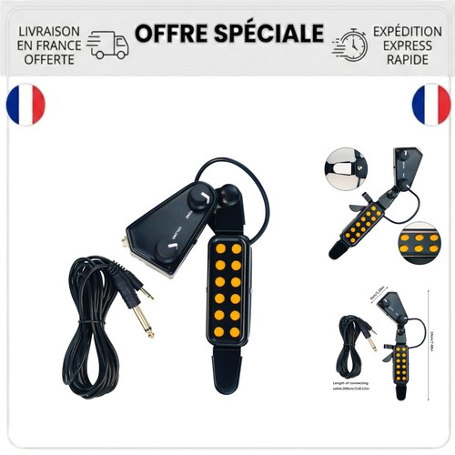 Micro magnétique guitare