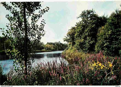 Carte postale sologne - -,