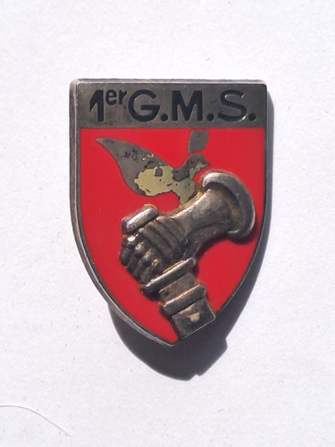 015328 insigne air gms 999 - insigne,