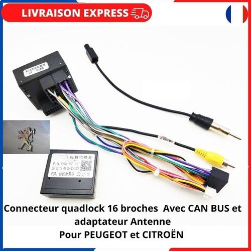 Câble adaptateur faisceau - câble,