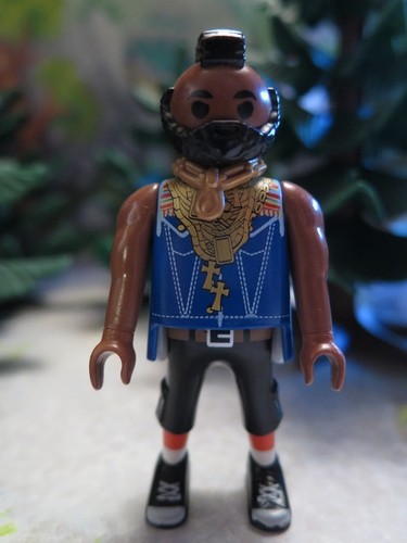 Barracuda baracus noir - baracus,