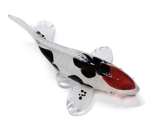 Tancho koi fish - 5", carp