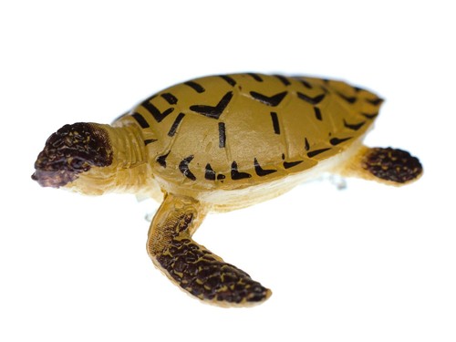 Broche miniblings tortue - broche,
