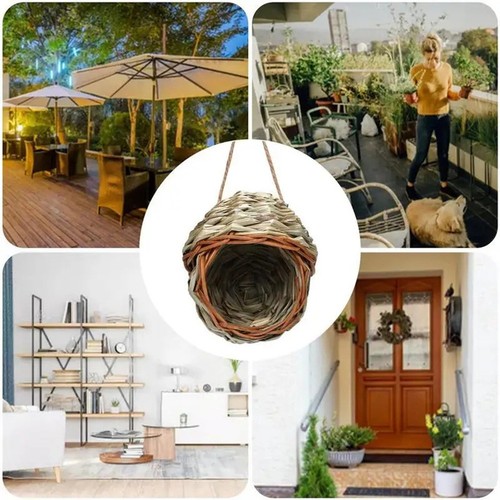 Cage oiseaux herbe - en,