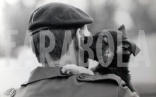 Photo De Presse Vintage Un Chiot De Berger Allemand, Tirage 20x13 Cm