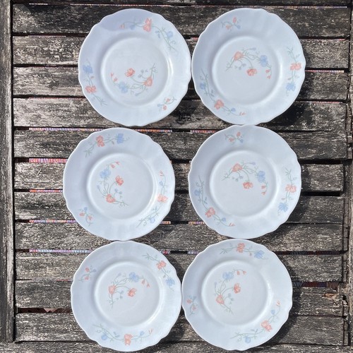 Arcopal lot assiettes - lot, 6
