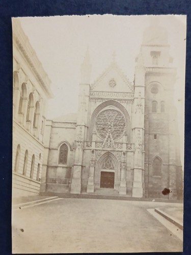 D35 fougères 1899 - d35,