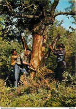 Carte Postale - Metiers -