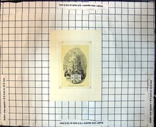 Original Old Antique Print Thermes Des Eaux Bonnes Spa