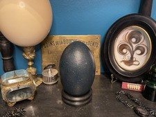 Œuf D’émeu vide avec Socle