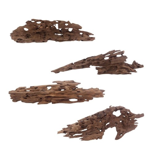 Aquaone racine naturelle en - aquaone,