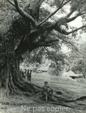 NOUVELLE-GUINÉE vers 1960