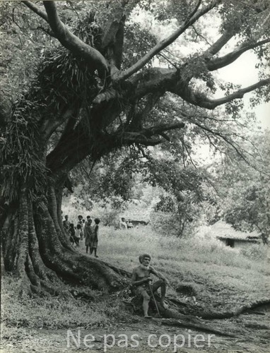 Nouvelle guinée vers 1960 - nouvelle-guinÉe,