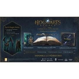 Jeu ps4 hogwarts legacy - legacy,