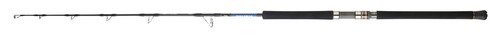 Daiwa saltiga jigging - saltiga, rods