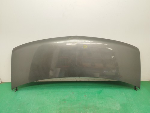 12549271 capot observar - capot,