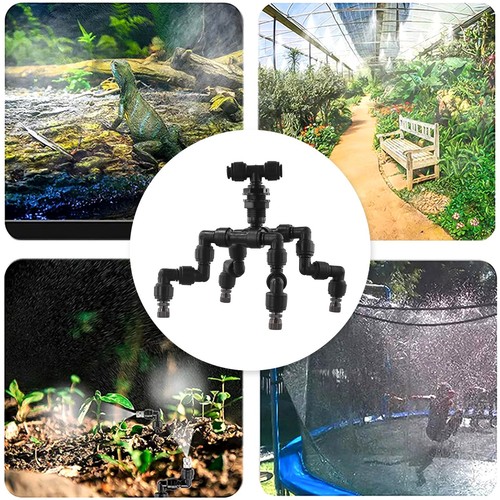 Pour terrarium reptile buses