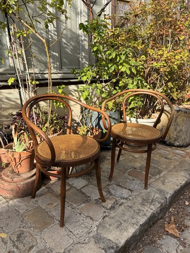 Kohn lot chaises bois - lot,