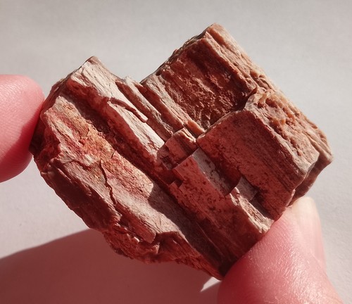36.26gr 40x37x26mm bois