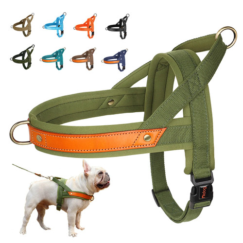 Harnais chien anti traction - harnais, anti-traction