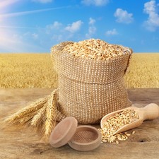  Moulin À Céréales Manuel