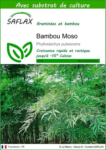 Saflax bambou moso 20 - -,