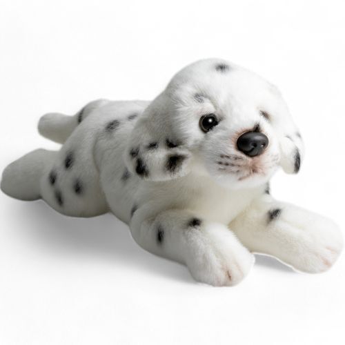 Dalmatien couché chien - dalmatien,