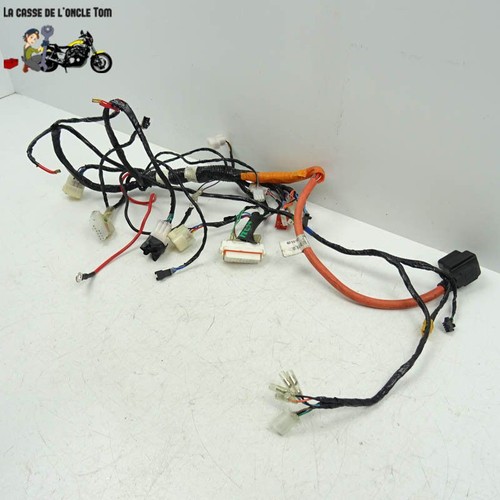 Faisceau électrique vmoto - électrique,