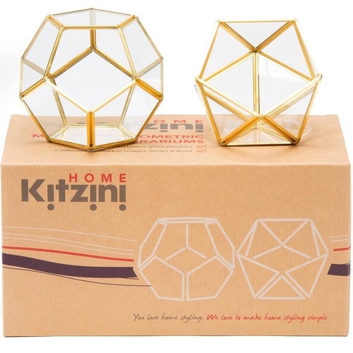 Terrarium plant set - plant, (set